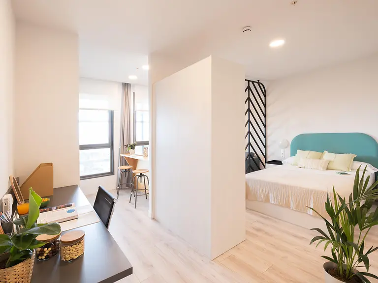Studio Premium with kitchen