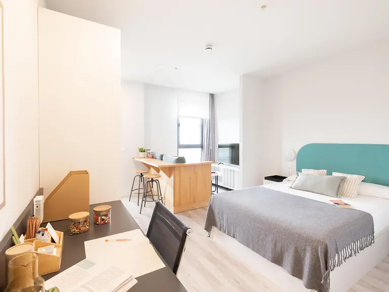 Studio with kitchen