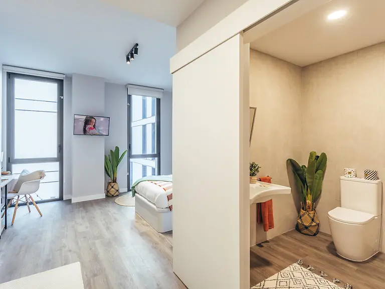 Executive Studio